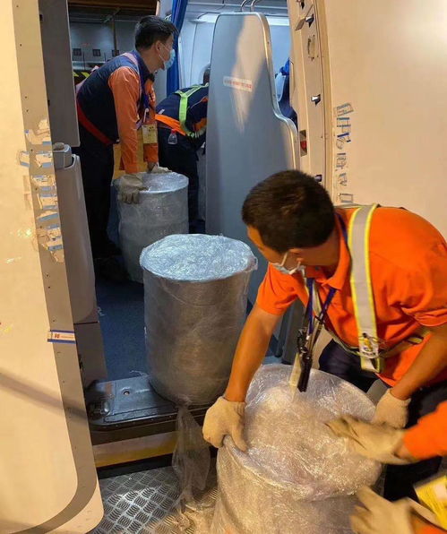 地服公司高效保障华夏航空首班 客改货 包机